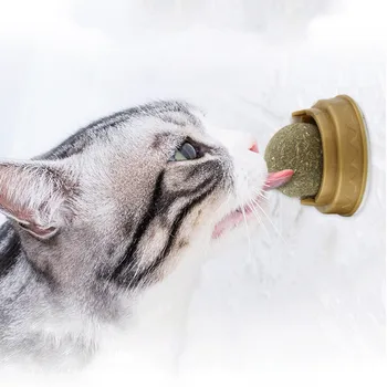 Dabas Catnip Kaķis Sienas Stick-on Bumbu Rotaļlieta Izturas pret Veselīgu Dabisko Veicinātu Gremošanu Kaķu Zāli Laizīt Uzkodas Kaķis Vairumtirdzniecības gatos